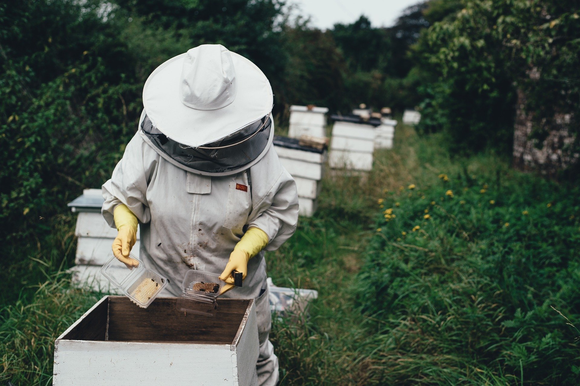 A beekeeper in a suit.