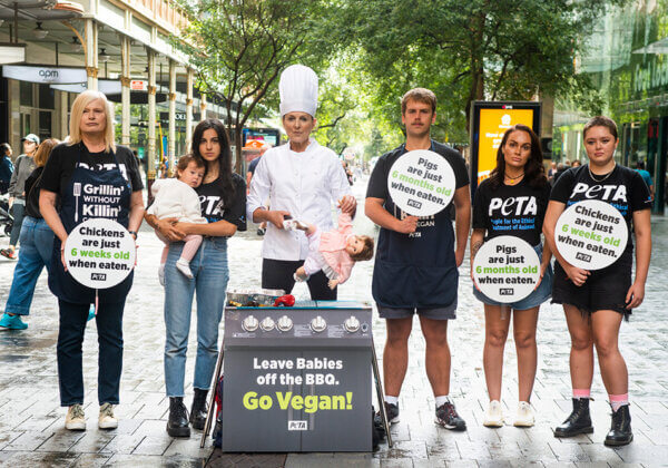 Why Did PETA Barbecue a ‘Baby’?