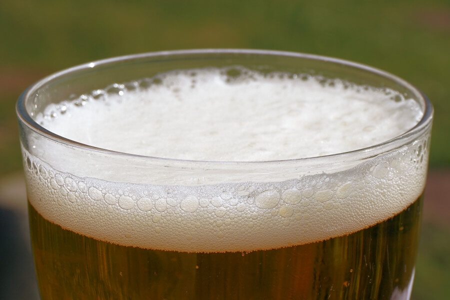 Toxic foods for dogs and cats: beer