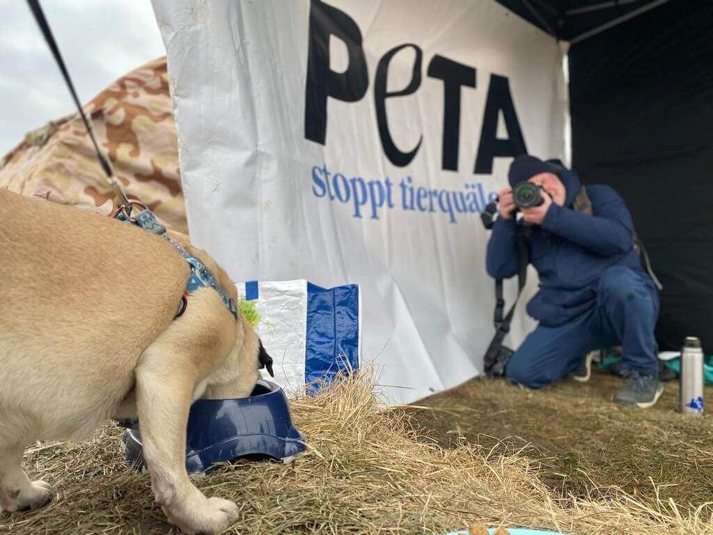 PETA Germany's tent at the border