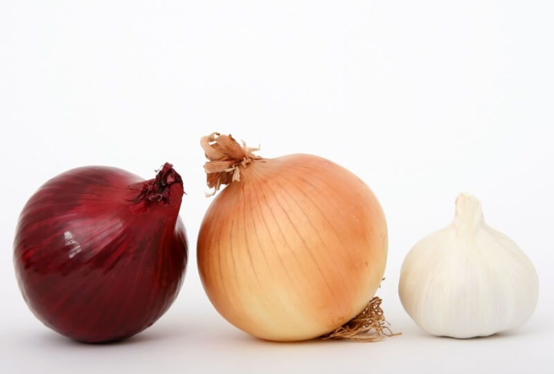 Toxic foods for dogs and cats: onion and garlic