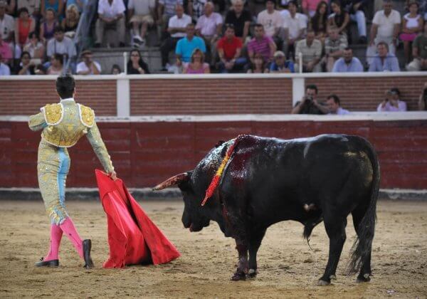 banderilleros - bullfighting