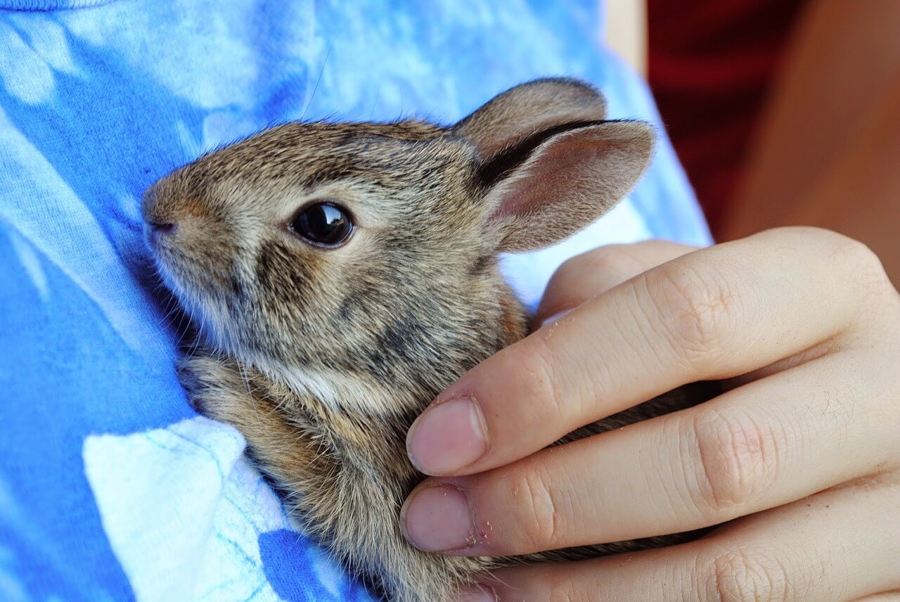 GREAT NEWS: China to Approve First Non-Animal Cosmetics Test