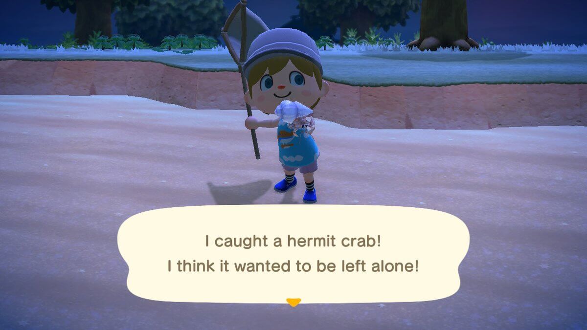 Catching hermit crabs in animal crossing.