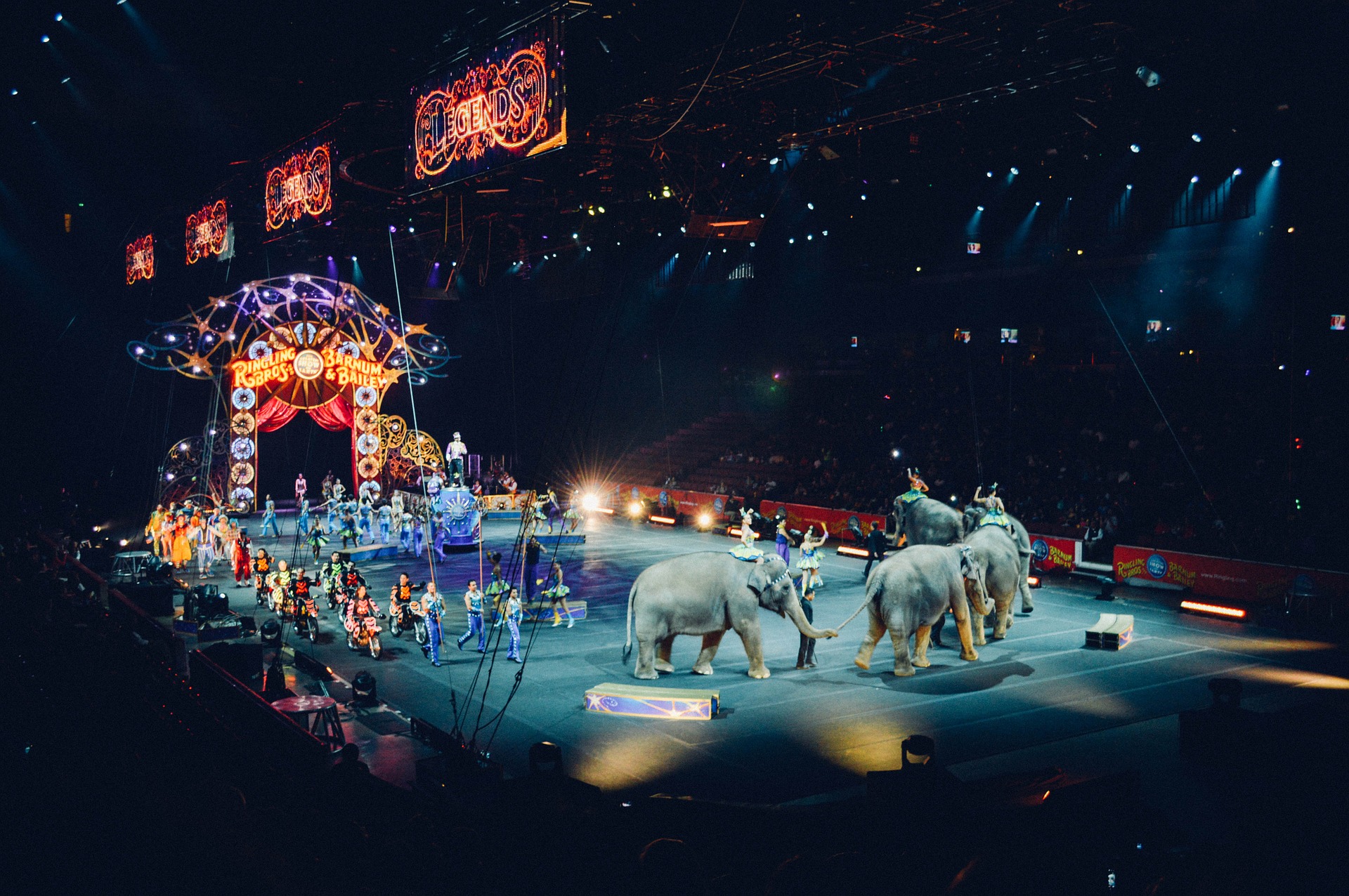 Elephants at the circus. 