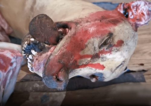 A dead dog for sale at a meat market in India