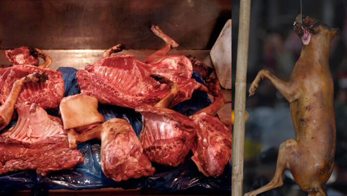 Dog Meat Is Being Served Outside the Olympic Games