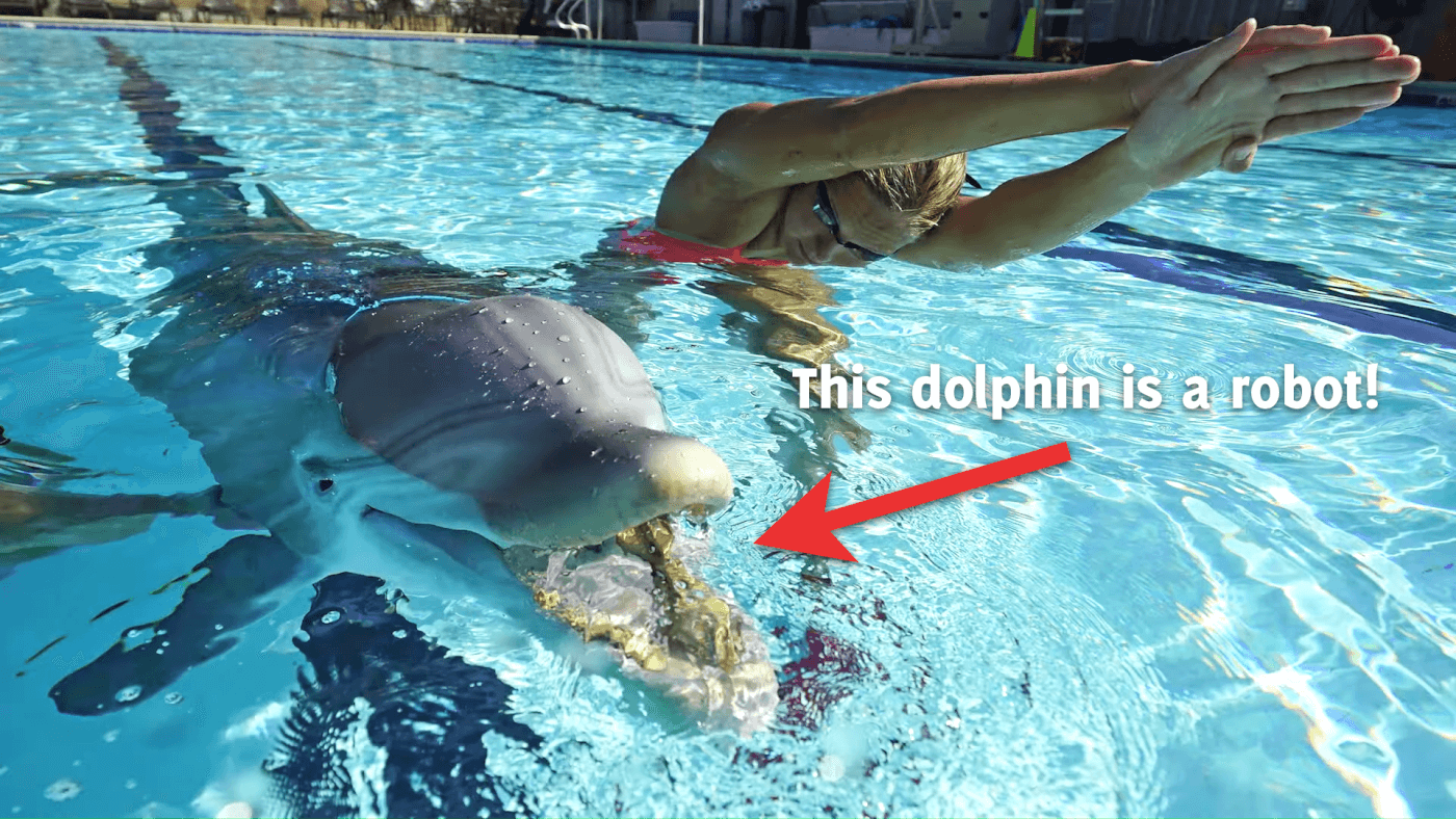 This Robotic Dolphin Could Mean the End of Marine Mammal Captivity
