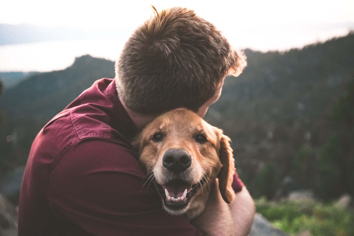 A person with short hair hugs a smiling dog