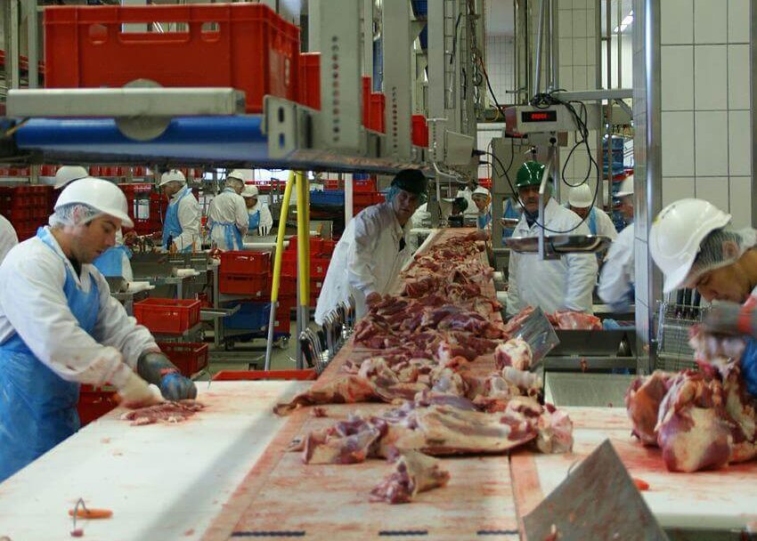 an abattoir