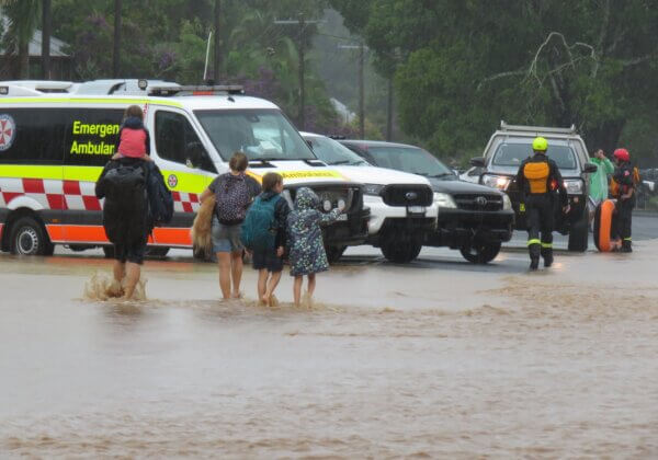 How to Prepare for Flooding When You Have Animal Companions