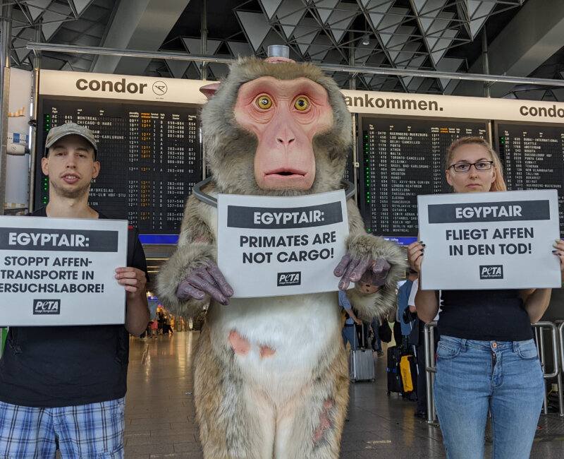 PETA Germany Activists at Frankfurt Airport