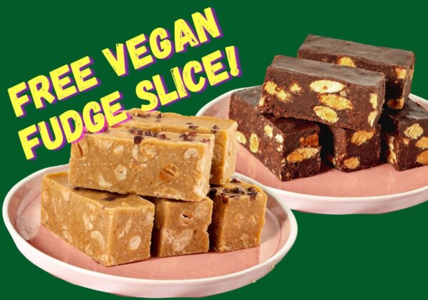 Get Your Hands on FREE Fudge From The Cheesecake Shop