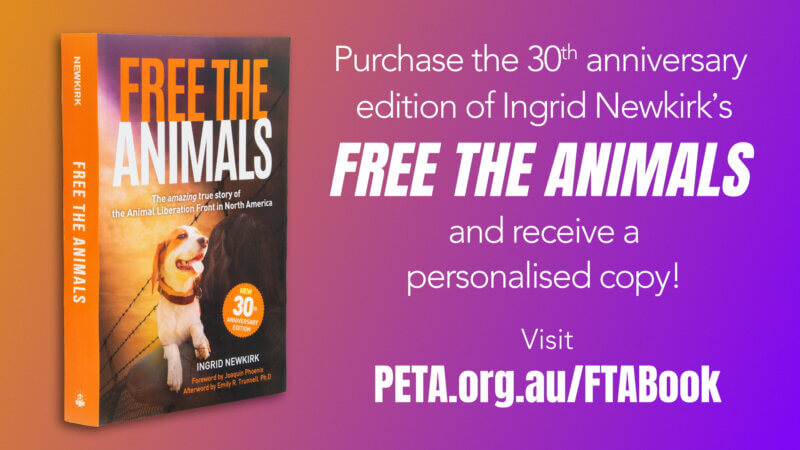 Image of Free The Animals book