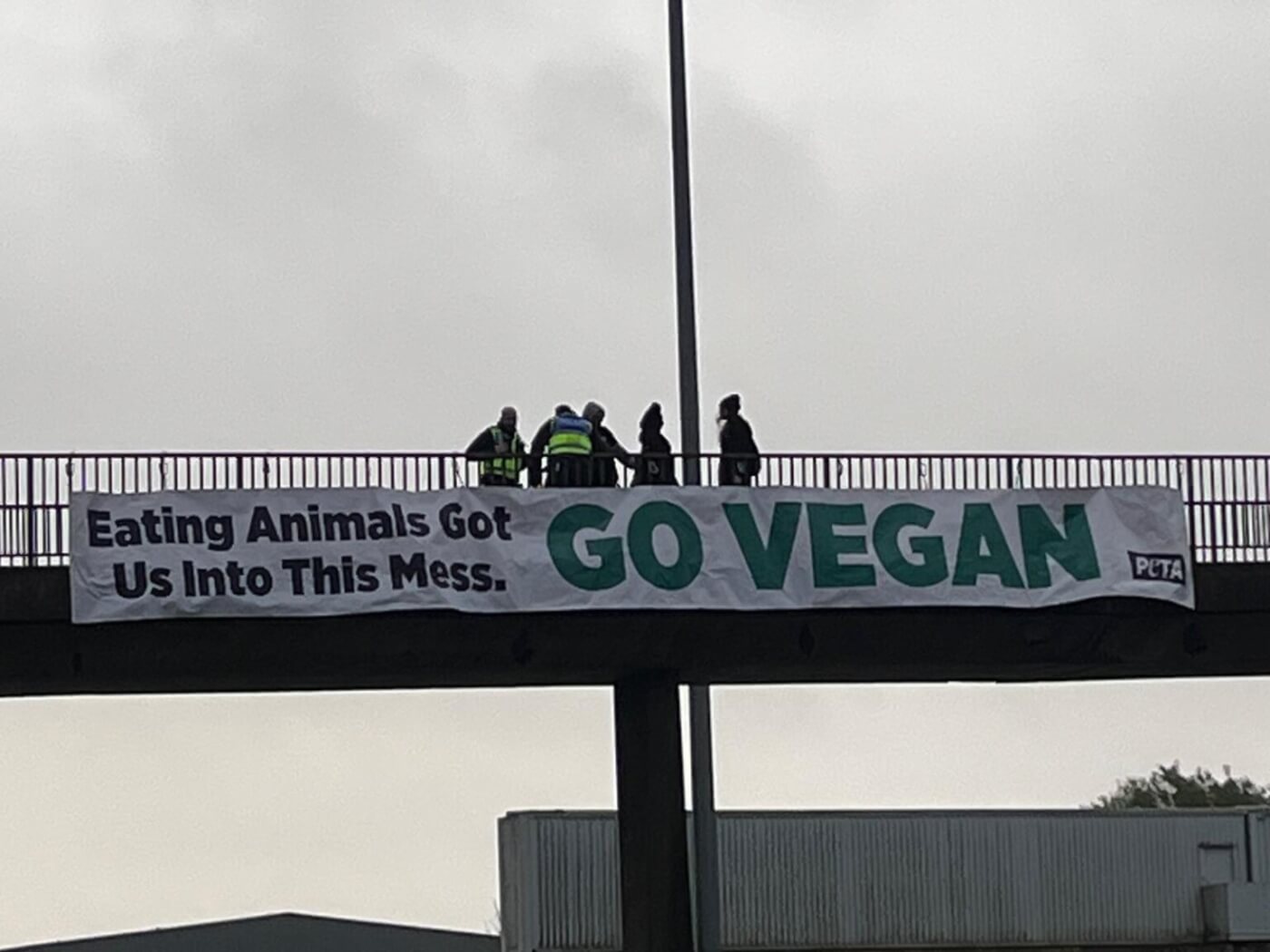 Activists hang a banner over the m8 motorway that says "Eating animals got us into this mess. Go vegan!"