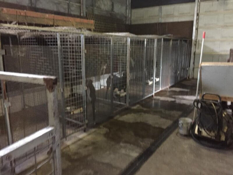 greyhound kennels