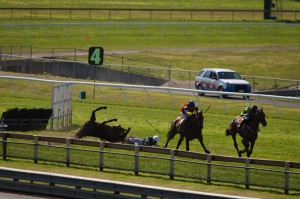 Horse fall jumps racing