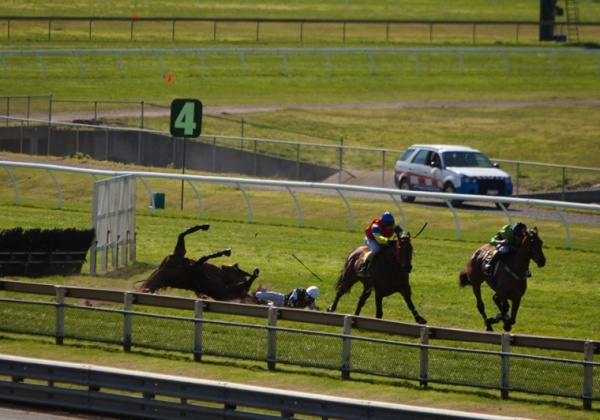 Failed Racehorses Are ‘Wastage’