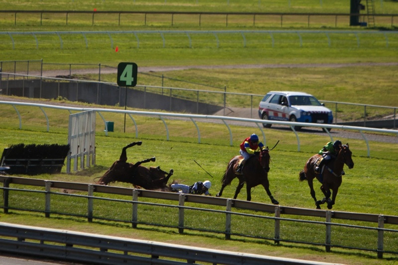 Failed Racehorses Are ‘Wastage’