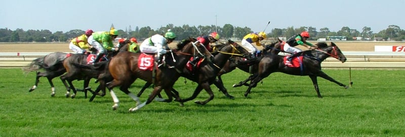 horse racing