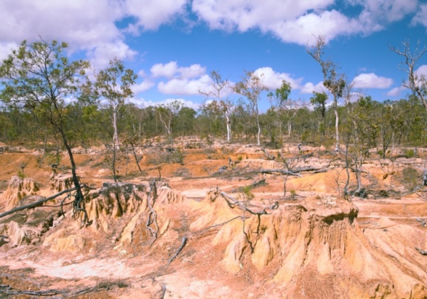 Wool Production Damages the Land