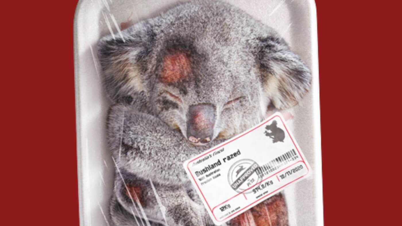 Eat Koala Meat at Lewis Lund blog
