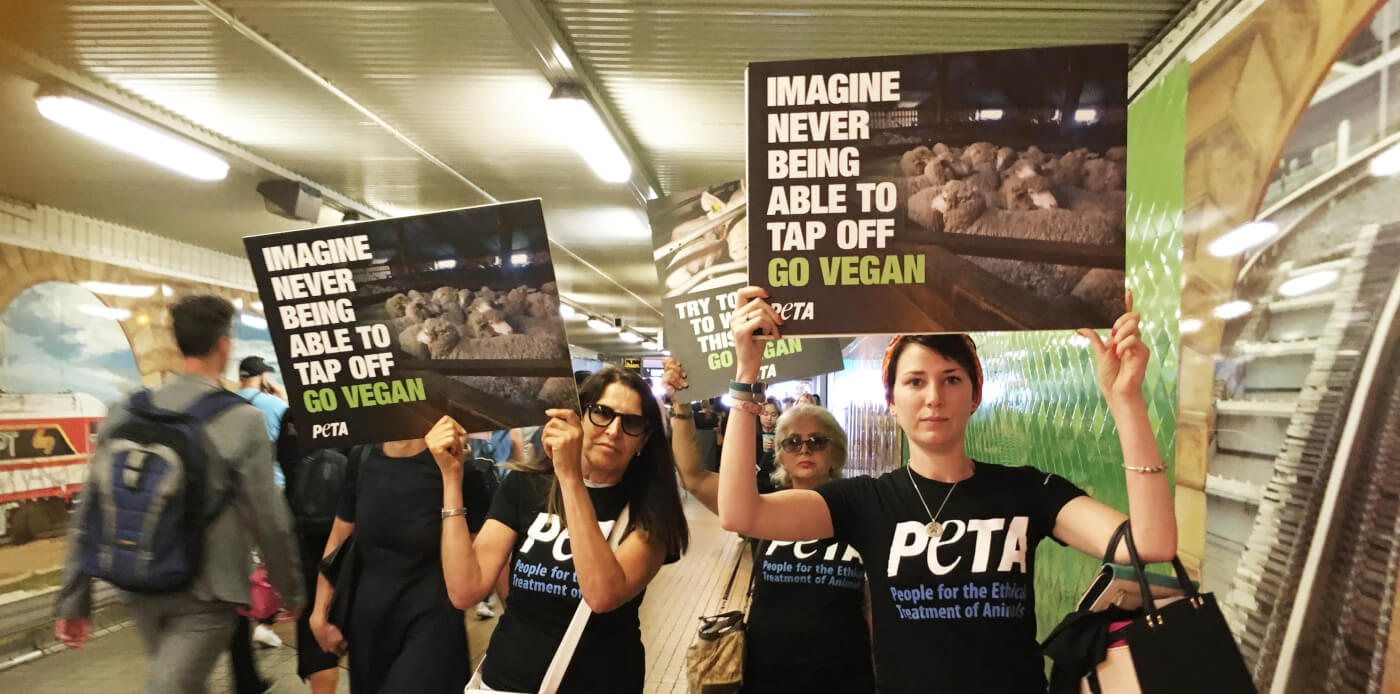 Vegan Train Takeover in Sydney – Can You Relate to Who’s in This Crate?