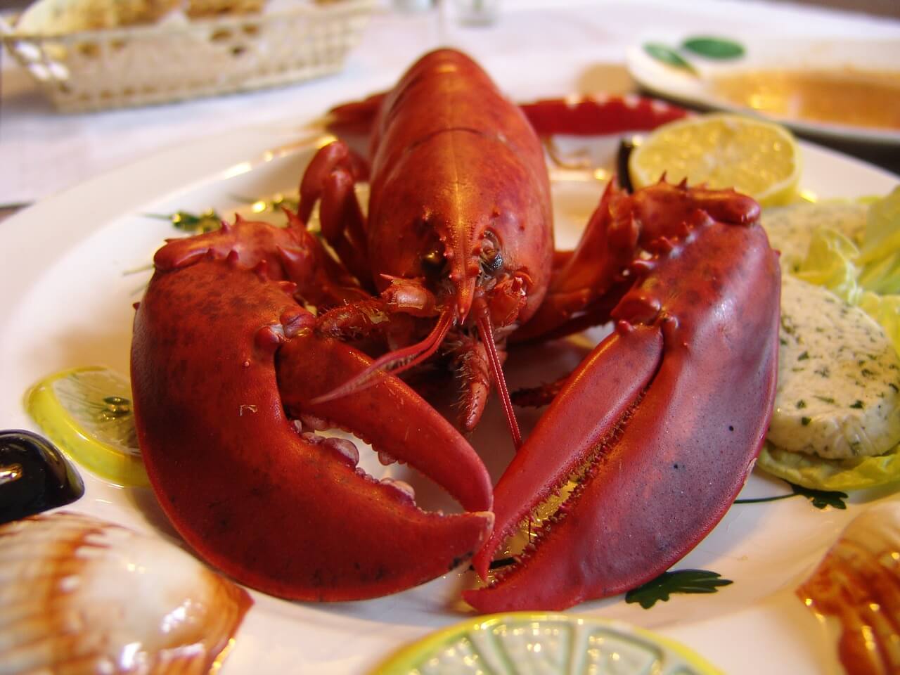 Ground-Breaking Case: Seafood Store Convicted for Cruelty to Lobster