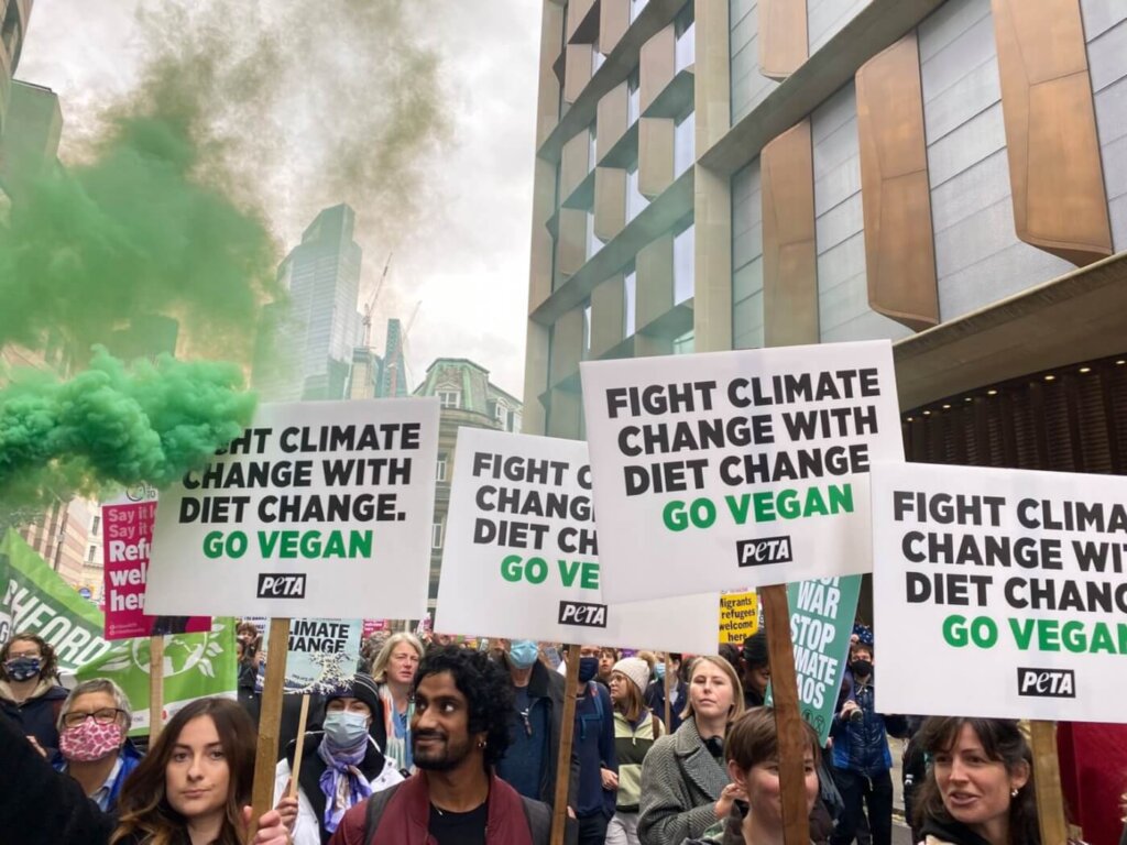The Cop26 climate march in London.