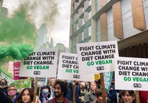 COP26 or COPOUT26? PETA UK Marches for a Vegan World