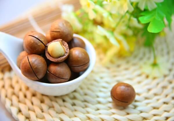 Poisonous Foods for Dogs and Cats