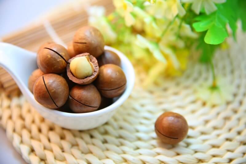 Toxic foods for dogs and cats: macadamia nuts