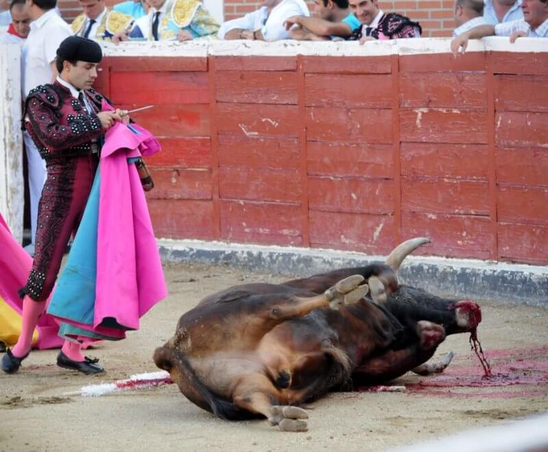 matador