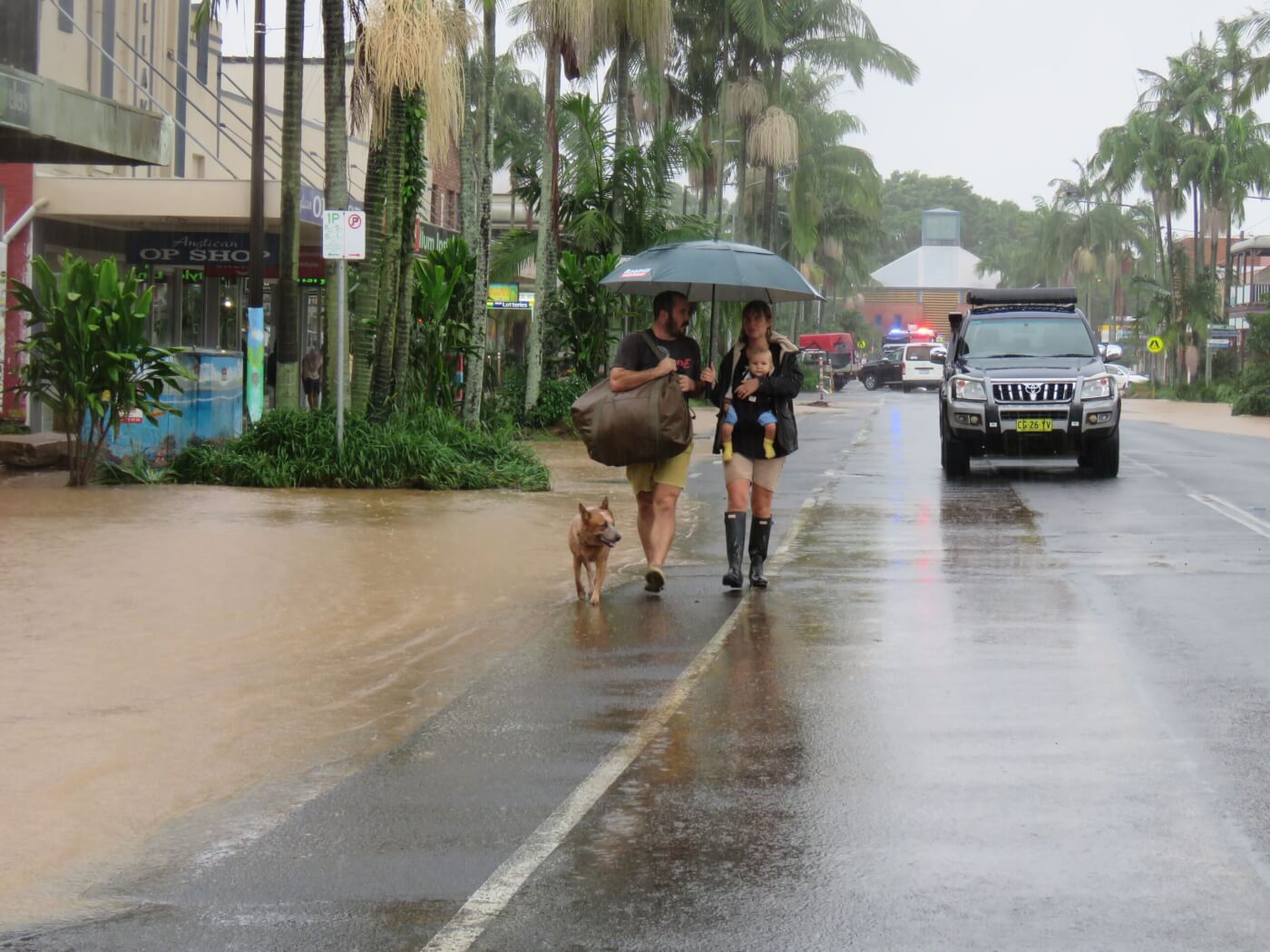a family and their dog evacuate from Mullumbimby