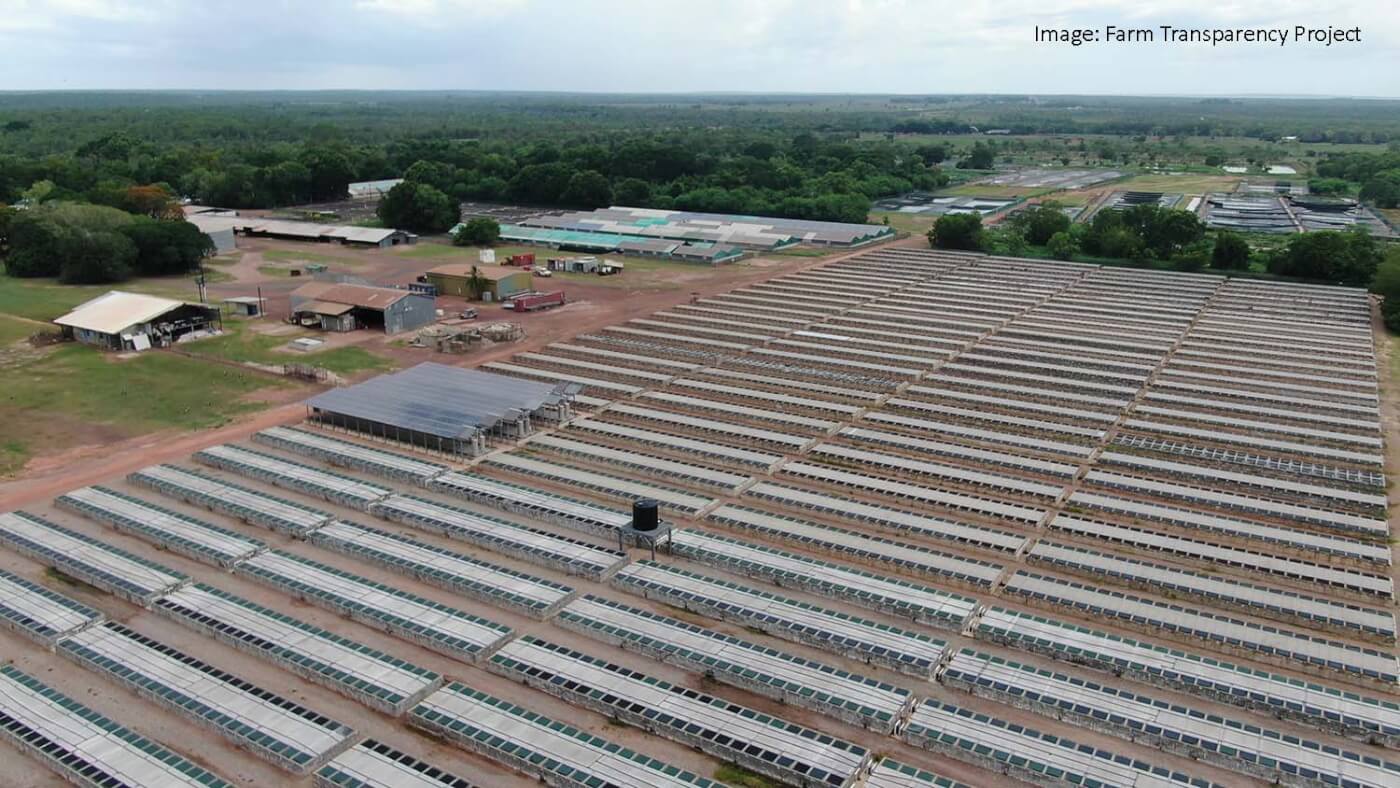 a crocodile farm in the Northern Territory