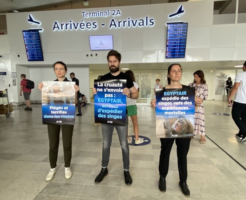 PETA France Activists in Paris