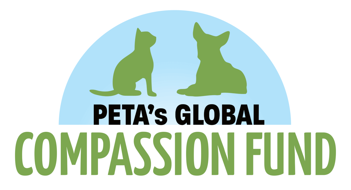 to PETA’s Global Compassion Fund Fireside Chat! PETA Australia