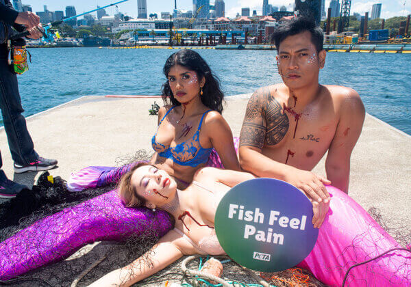 PETA ‘Mermaids’ Make a Splash at Sydney Fish Market