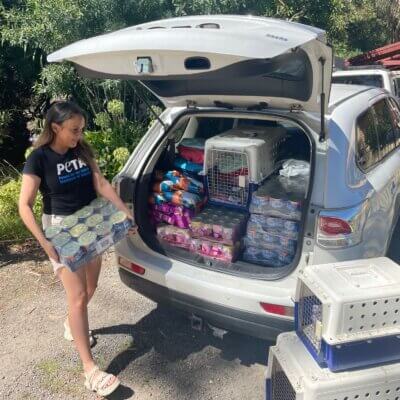 Olivia fills a car with supplies for flooded areas.