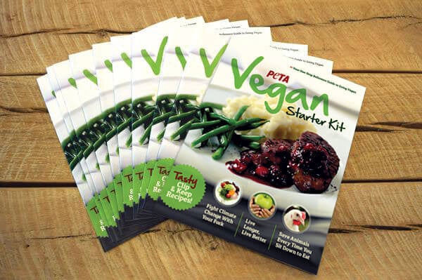vegan starter kit