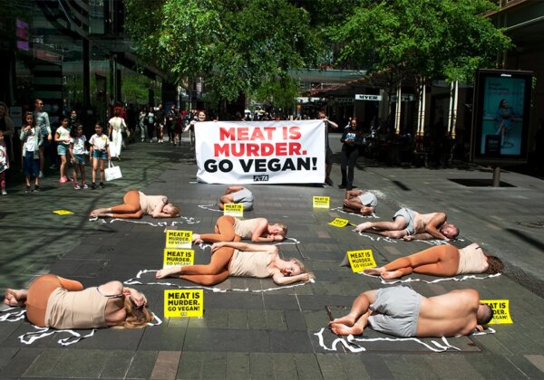 Protesters Lie ‘Dead’ in Meat Industry ‘Crime Scene’