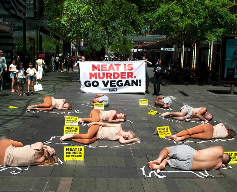 PETA protest in Sydney, Australia.