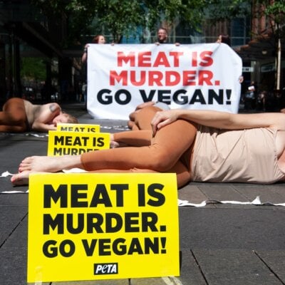 PETA protest in Sydney, Australia.