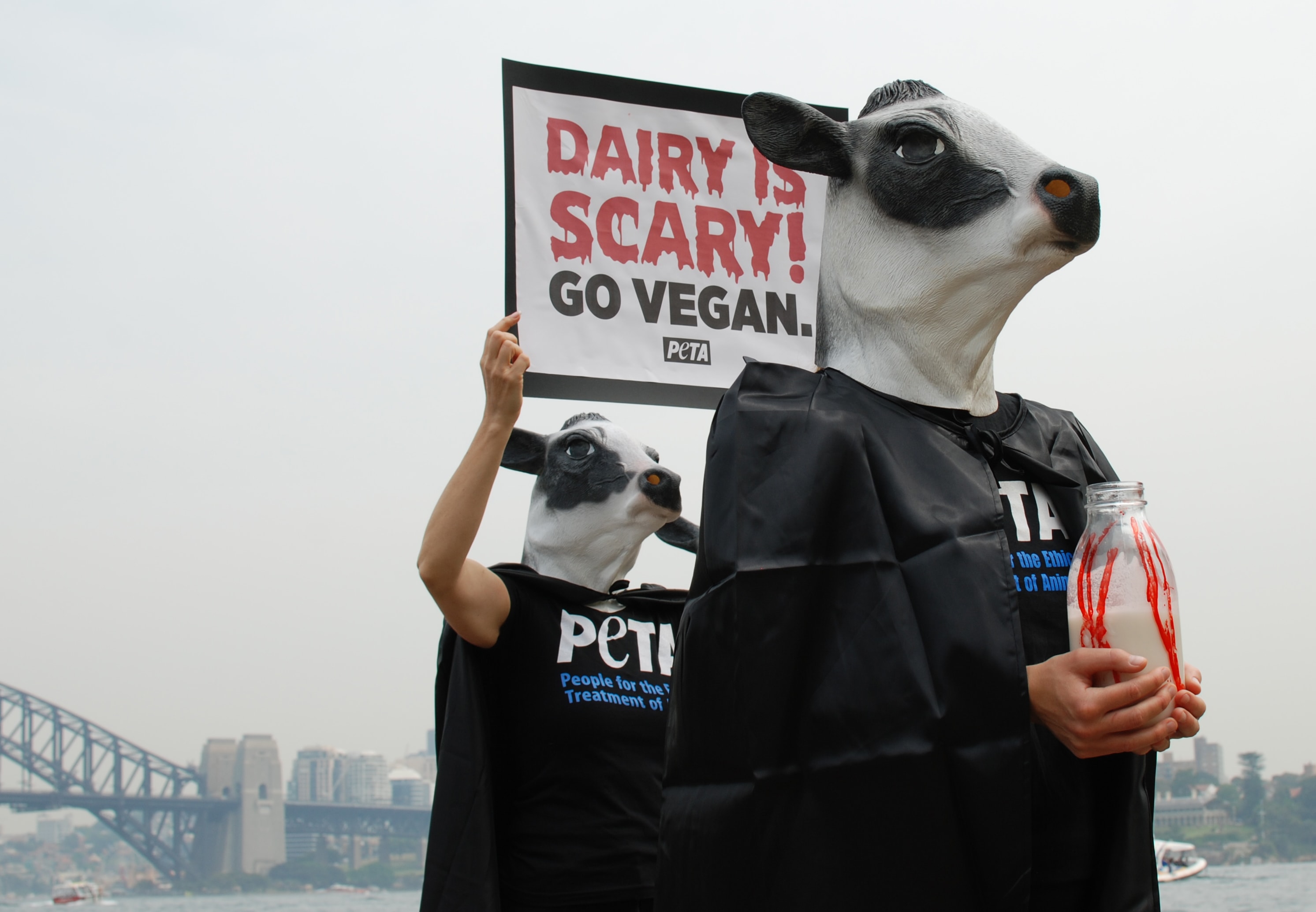 Dairy Is Scary! PETA ‘Cows’ Stage Halloween Protest in Sydney