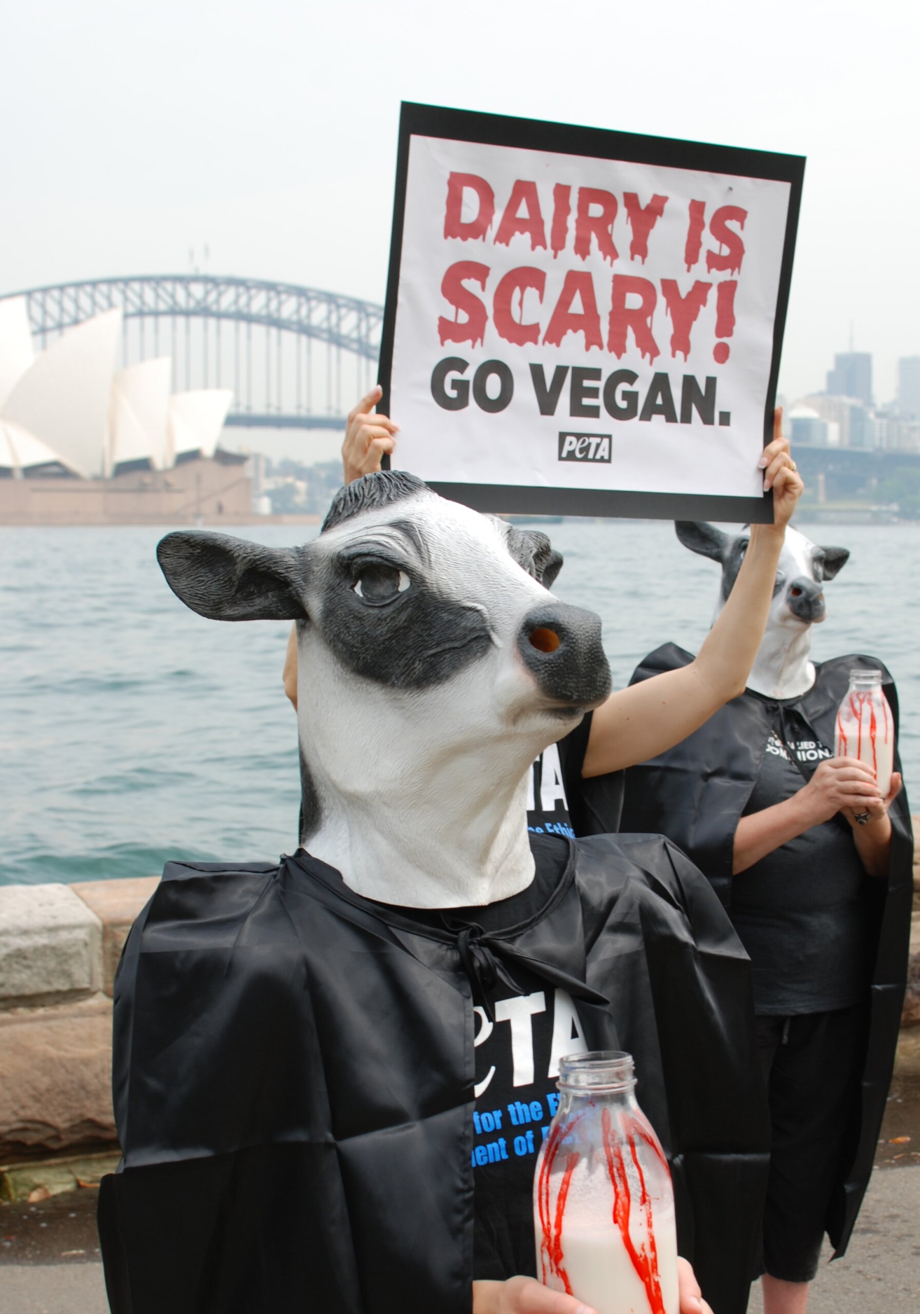 Dairy Is Scary