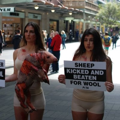 Wool Demo Pitt Street Mall