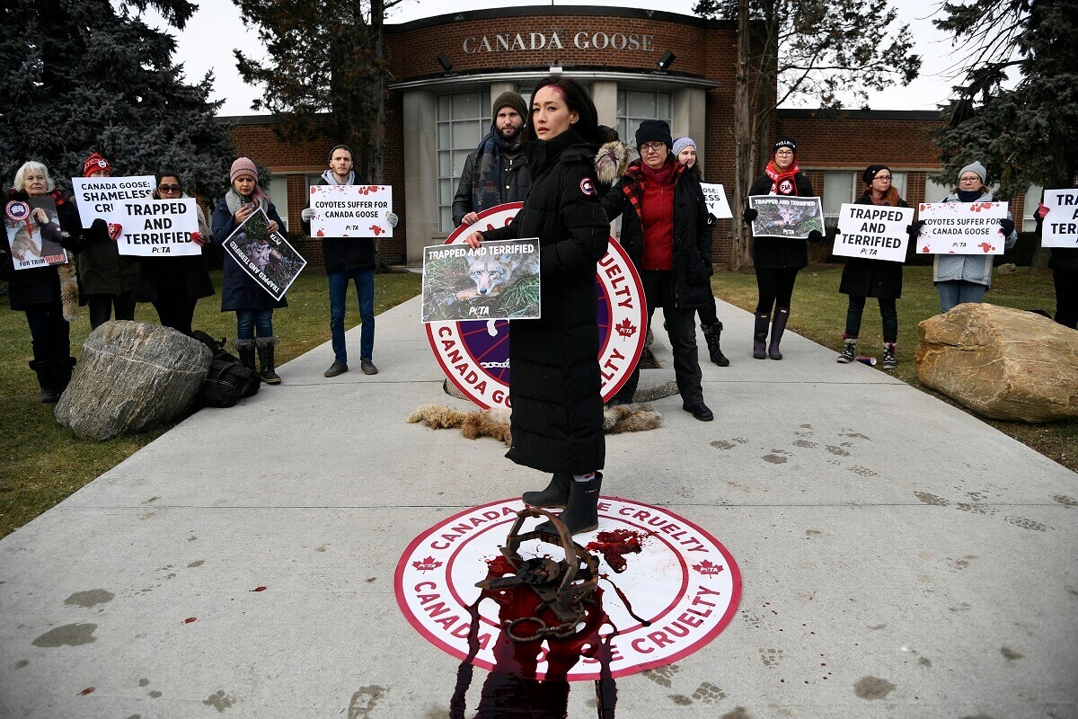 Canada Goose Ditches Fur After Years of Pressure News PETA Australia