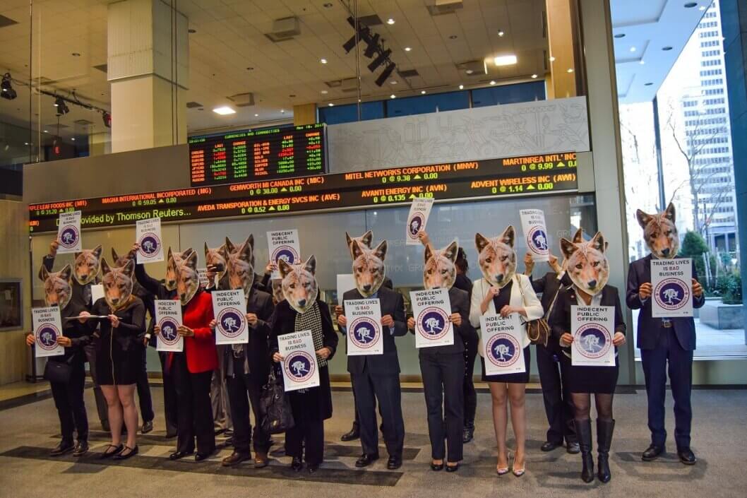 Canada Goose Protest at the Toronto Stock Exchange