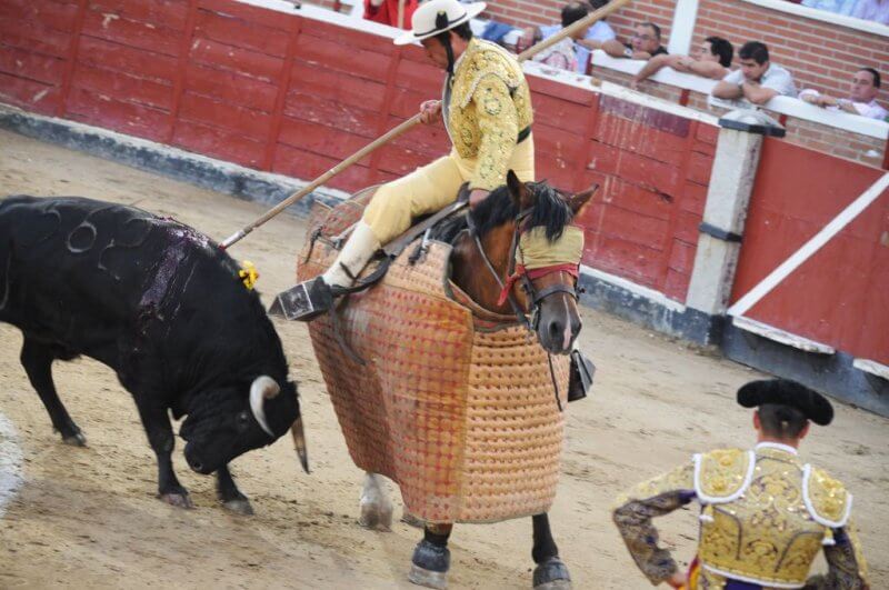 Bullfighting: Torture Is Not Culture | Animals Used for Entertainment -  Issues - PETA Australia