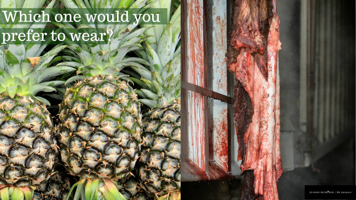 pineapples on the left, animal skin on the right, with the words "what would you rather wear?"